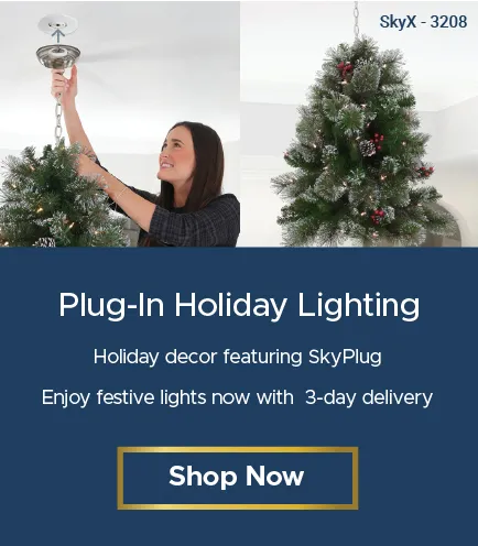 Plug in Holiday Lighting
